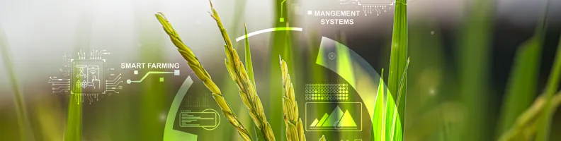 Understanding Agricultural Mutations: How Technology Is Shaping Farming